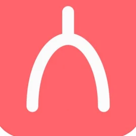 WishboneOfficial Tiktok ads