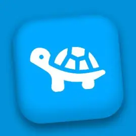 Turtle Journal: Private Diary Tiktok ads