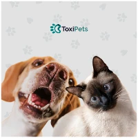 ToxiPets Tiktok ads