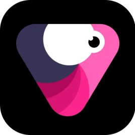 VelomingoApp Tiktok ads