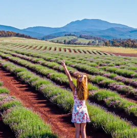 crushinglimits Tiktok ads