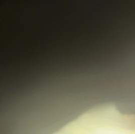 pastanugget2555555552 Tiktok ads