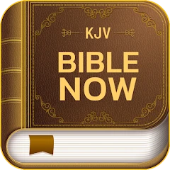 KJV Bible Now: Audio+Verse Tiktok ads