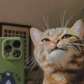 magda_wynajduje Tiktok ads