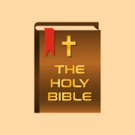 Holy Bible - Verses of the Day Tiktok ads