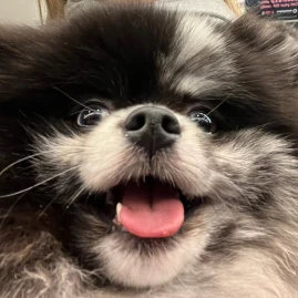 souplover96 Tiktok ads