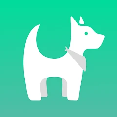 Hundeo - Puppy & Dog Training Tiktok ads