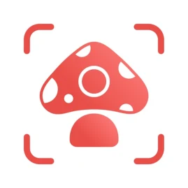 Picture Mushroom - Mushroom ID Tiktok ads