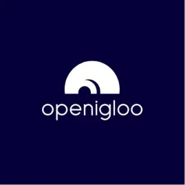 openigloo: NYC Rental Reviews Tiktok ads