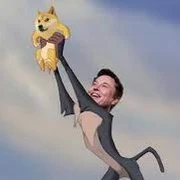 ElonDogyguy Tiktok ads