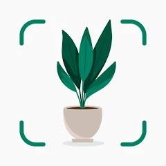 Plantify: Plant Identifier Tiktok ads