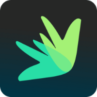Dovly AI | Credit Improvement