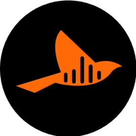 Oriole AI Tiktok ads