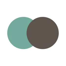 PingPongChat Tiktok ads