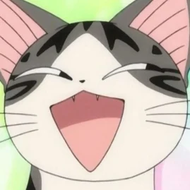 เหมียวไนซ์ Tiktok ads