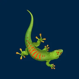 Bostik Pro Tiktok ads