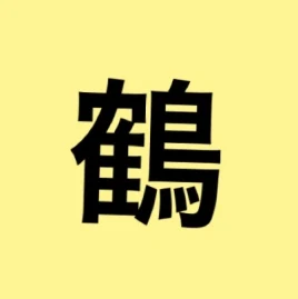 鶴ハルナ Tiktok ads