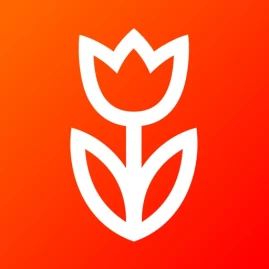 Flowwow: Подарки, Цветы и Еда Tiktok ads