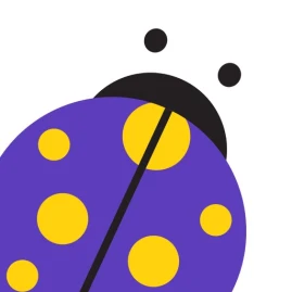 n11 - Online Shopping Tiktok ads