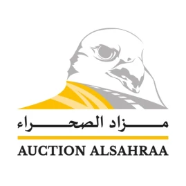Auction AlSahraa مزاد الصحراء Tiktok ads