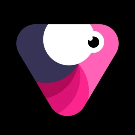 Velomingo: Velocity Edit Maker Tiktok ads