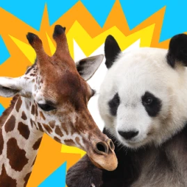 동물 타워 배틀 Tiktok ads