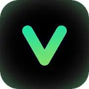 Viva EditorPro Tiktok ads