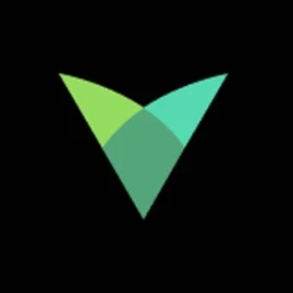 Verde Finance Tiktok ads