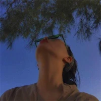 FashionistaDiary Tiktok ads