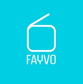 Fayvo Tiktok ads