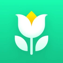 Plant Parent: Plant Care Guide Tiktok ads