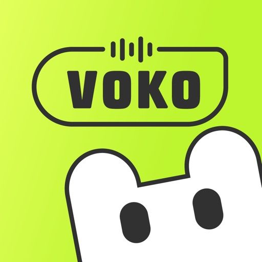 Voko-Voice Chat and Meet