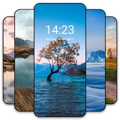 Wallpaper Plaza Tiktok ads