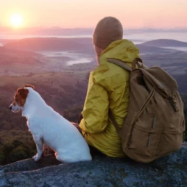 jeremiah992 Tiktok ads