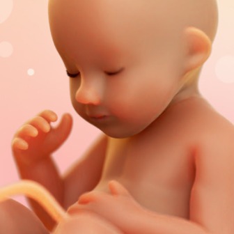 WeMoms✨ Pregnancy & Baby