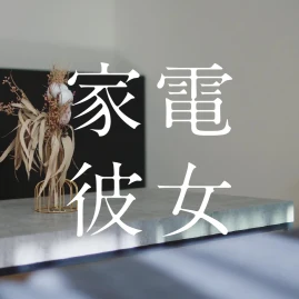 家電彼女 Tiktok ads