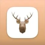 jegerappen Tiktok ads