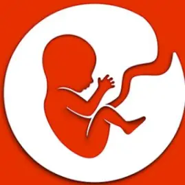 BitLife - Life Simulator Tiktok ads