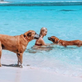 Jenna Silver Tiktok ads