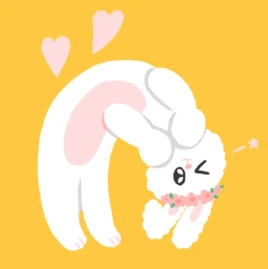 달채비(DAL CHAEBI) Tiktok ads