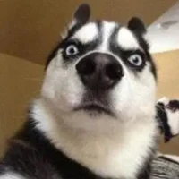 last2minute Tiktok ads