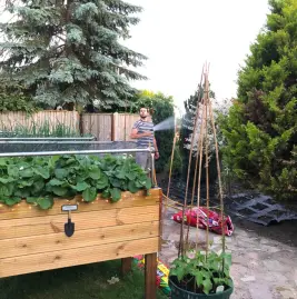 Joesgarden Tiktok ads