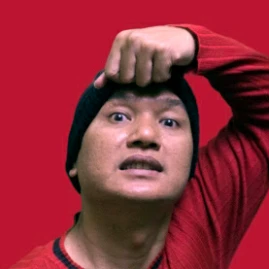 PapaLouise Tiktok ads