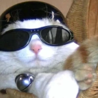 industrial_supergadgets Tiktok ads