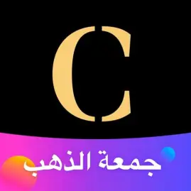 Chicy Tiktok ads