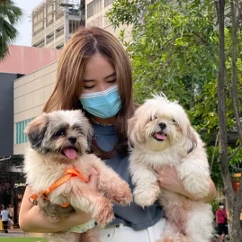 Chelsea Lim Tiktok ads