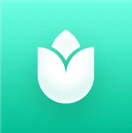 PlantIn App Tiktok ads