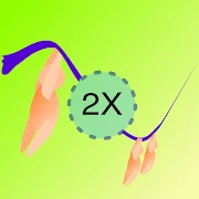 Rope Gang Tiktok ads