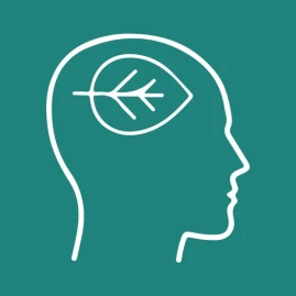 Inner Journey: Mental Clarity Tiktok ads