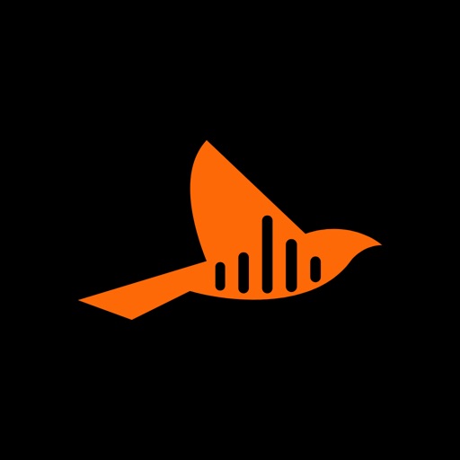 Oriole AI - Snap to Speech
